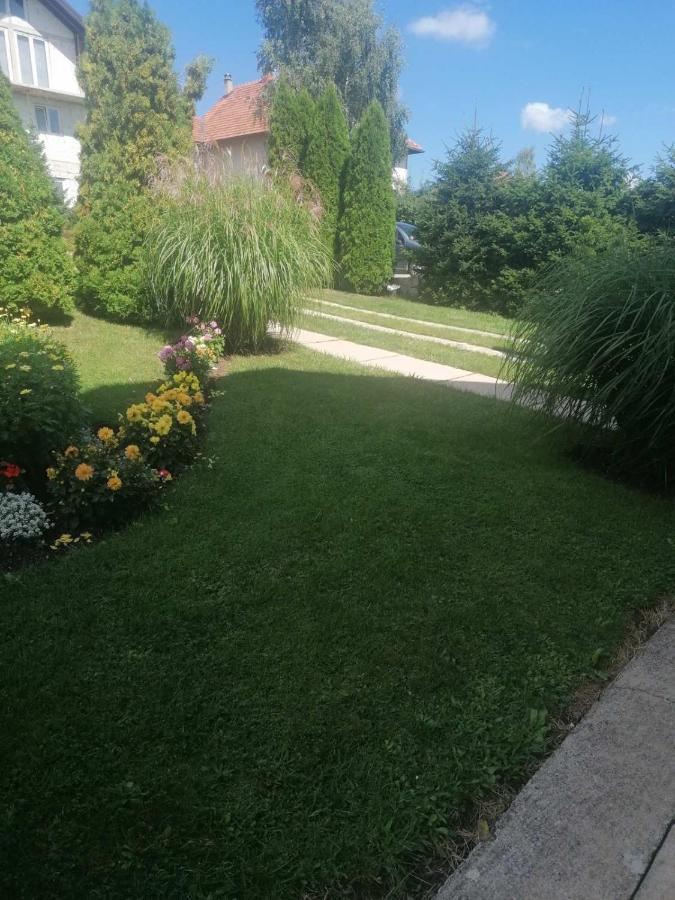 Bozovic Mv Apartments Zlatibor Exterior photo