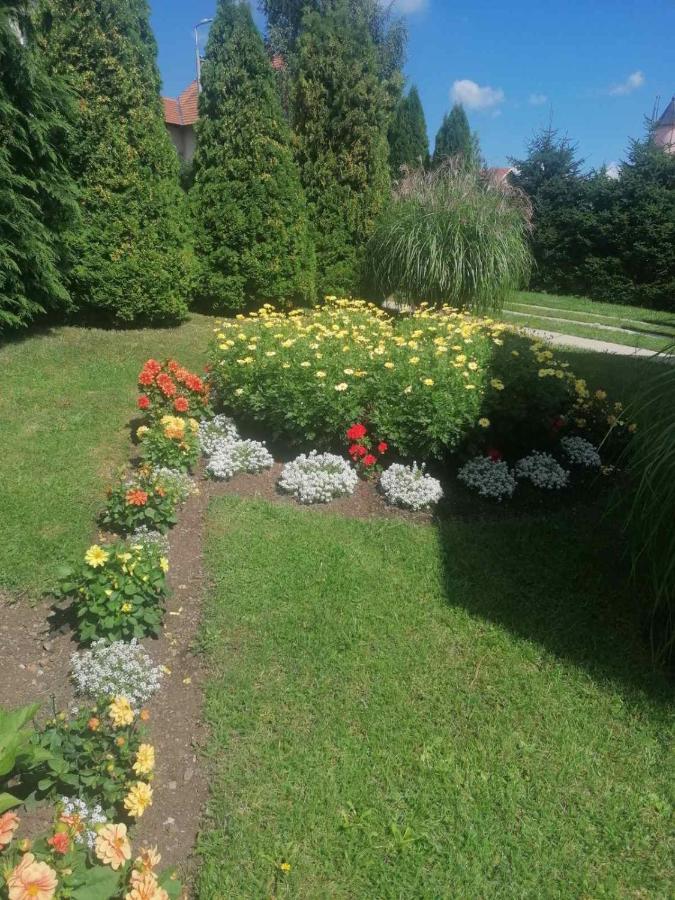 Bozovic Mv Apartments Zlatibor Exterior photo